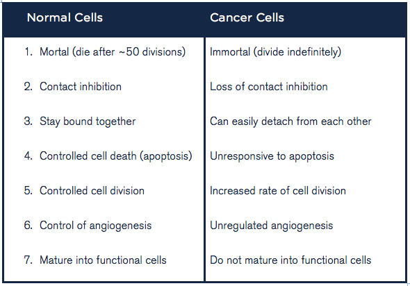 Cancer Cells Vs Normal Cells Microscope